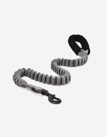 Naomi - YL107769 Pet Leash