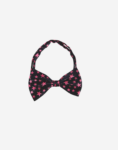 Naomi - YJ85765 Pet Collar