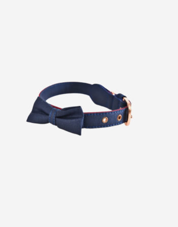 Naomi - YL103827 Pet Collar