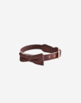 Naomi -YL103827 Pet Collar