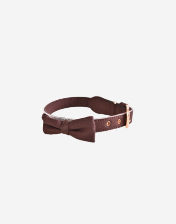 Naomi -YL103827 Pet Collar