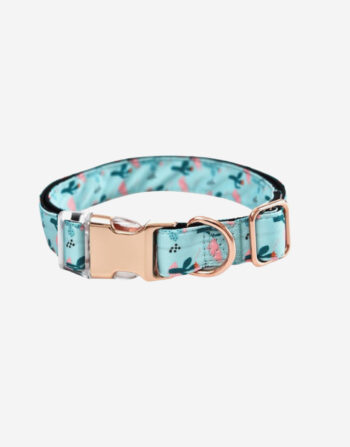 Naomi -YL107710 Pet Collar