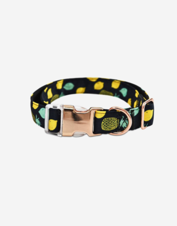 Naomi - YL107711 Pet Collar