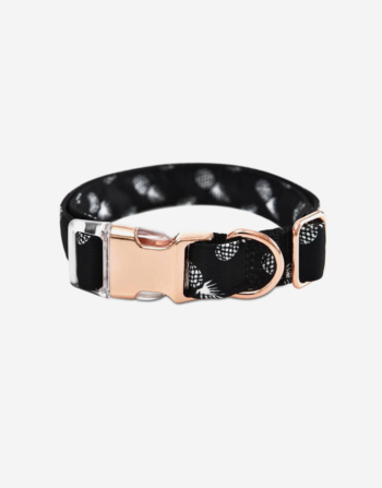 Naomi - YL107711 Pet Collar