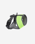 Naomi - YL107789 Pet Harness