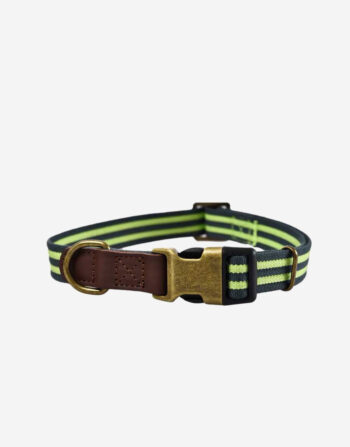 Naomi - YL109751 Pet Collar