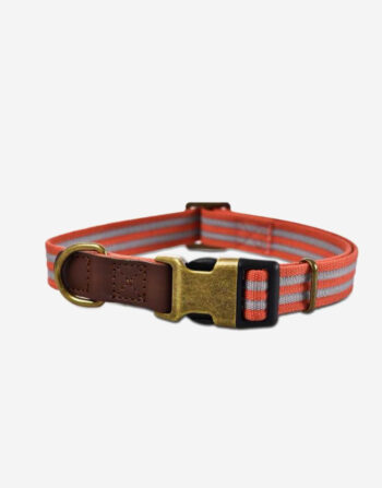 Naomi - YL109751 Pet Collar
