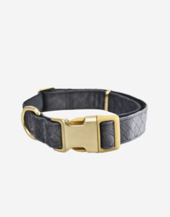 Naomi - YL109752 Pet Collar