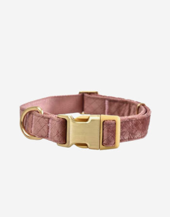 Naomi - YL109752 Pet Collar