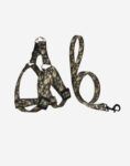 Naomi - YL109764 - YL109766 Pet Leash &Harness