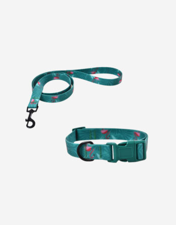 Naomi - YL109773 - YL109774 Pet Leash & Collar