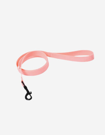 Naomi - YL109788 Pet Leash