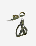 Naomi -YL119452-YL119454 Pet Leash &Harness