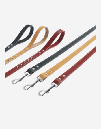 Naomi -YL72271 Pet  leash
