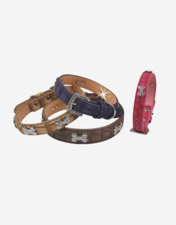 Naomi - YL77376 Pet Collar