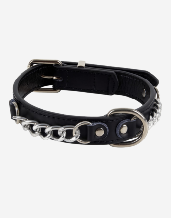 Naomi - YL85502 Pet Collar