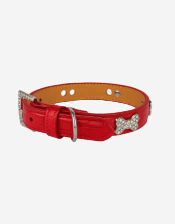 Naomi - YL77376 Pet Collar