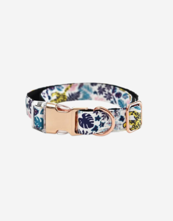 Naomi - YL107711 Pet Collar