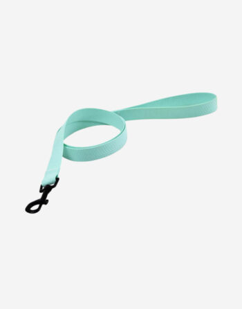 Naomi - YL109794 Pet  leash