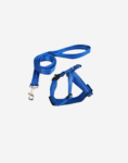 Naomi - YL117367 Pet Harness & Leash